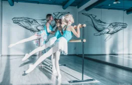 студия балета и растяжки новая позиция изображение 2 на проекте lovefit.ru